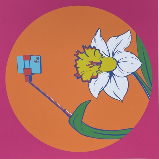 NARCISSUS THE FLOWER
