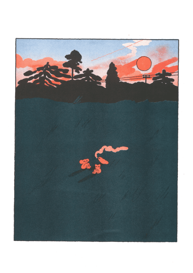 fields at dusk