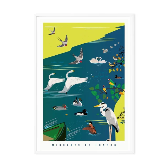 birds london